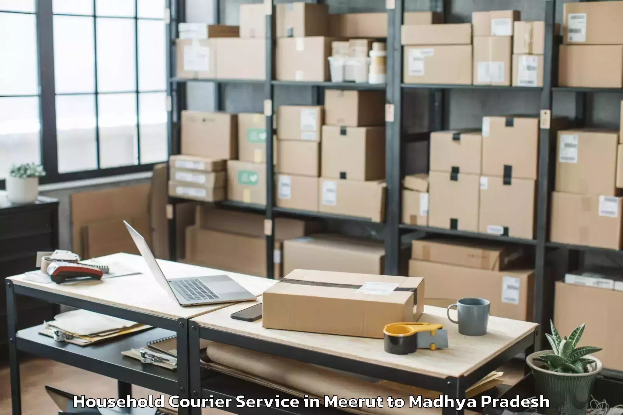 Affordable Meerut to Maharajpur Household Courier